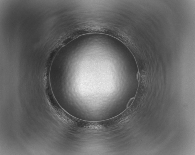 X0000073500642200608140909