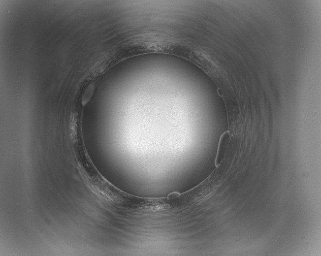 X0000073500646200608140909