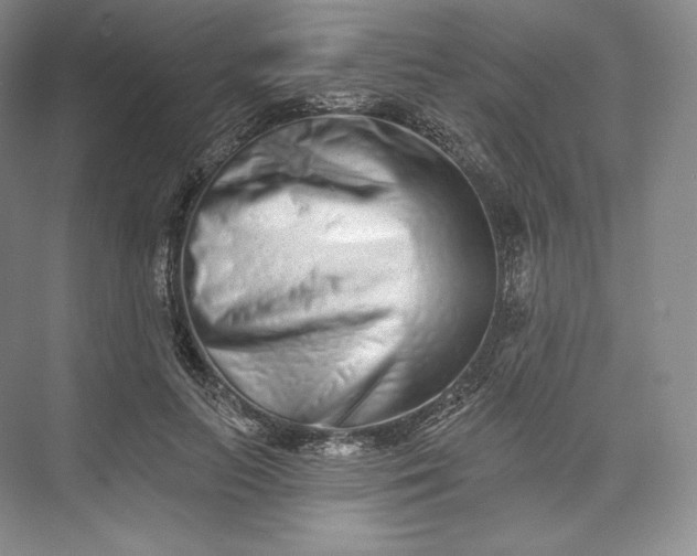 X0000073500647200608140909