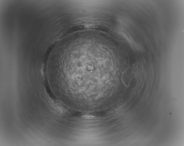 X0000073500650200608140909