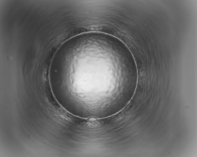 X0000073500652200608140909