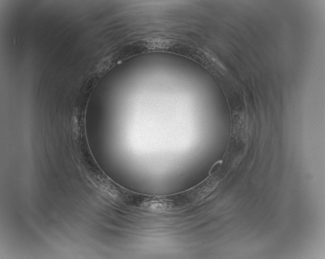 X0000073500655200608140909
