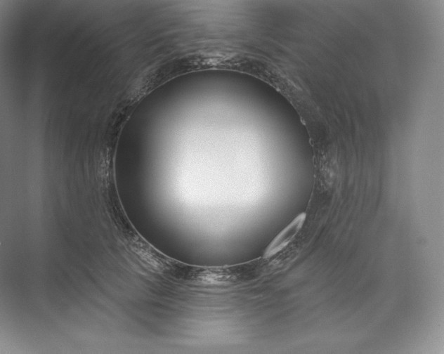 X0000073500657200608140909