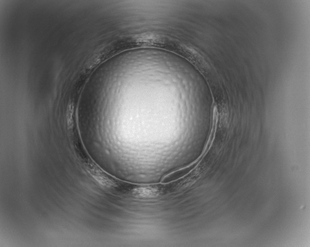 X0000073500660200608140909