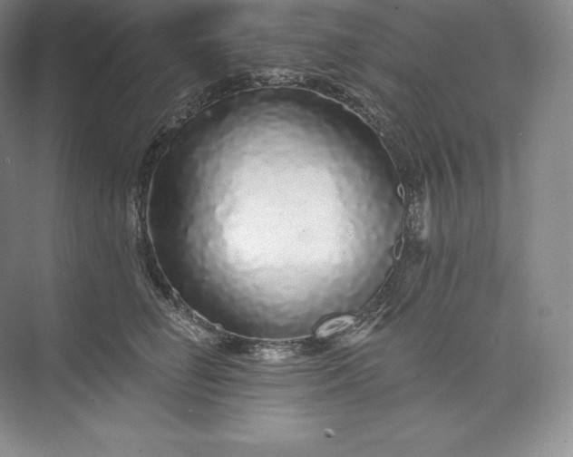 X0000073500662200608140909