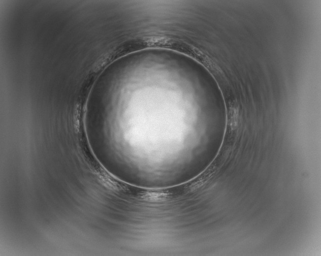X0000073500664200608140909