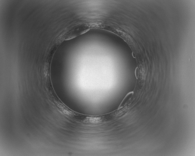 X0000073500665200608140909