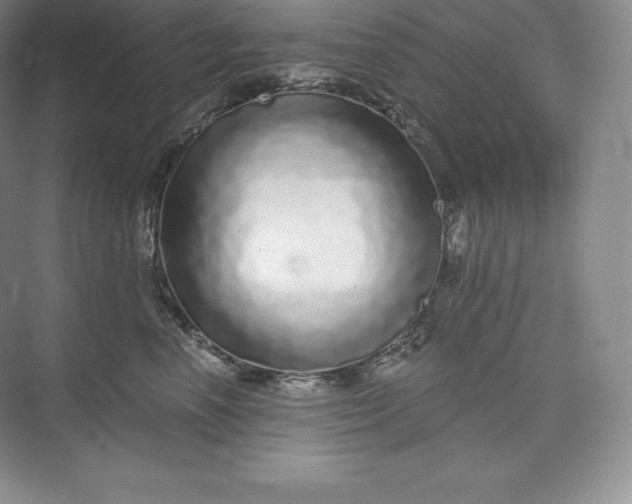 X0000073500666200608140909