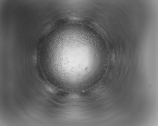 X0000073500668200608140909