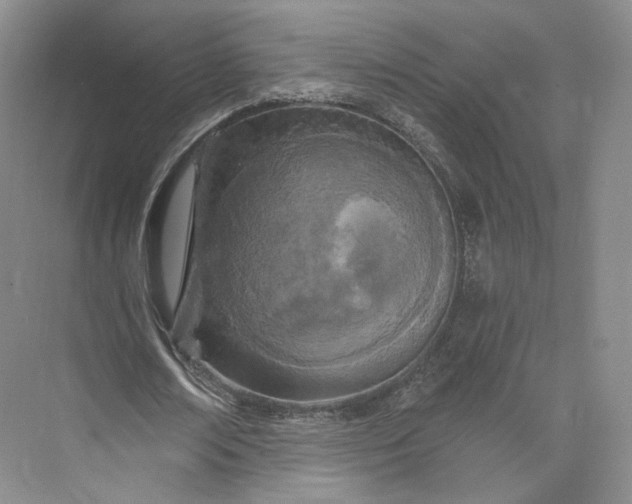 X0000073500674200608140909