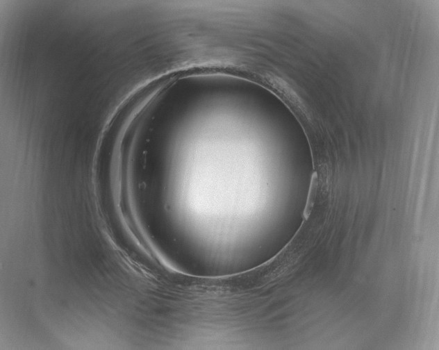 X0000073500676200608140909