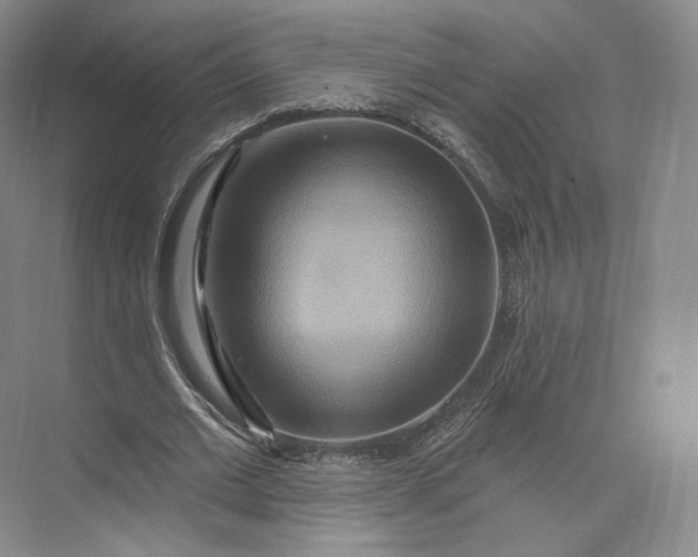 X0000073500677200608140909