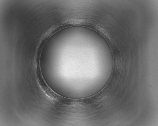 X0000073500682200608140909