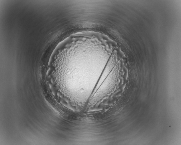 X0000073500683200608140909