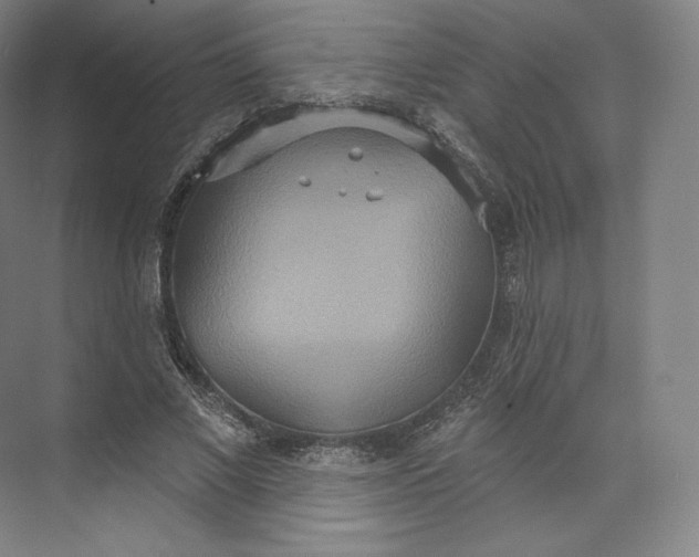 X0000073500685200608140909