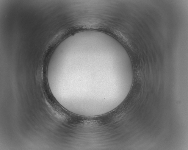 X0000073500686200608140908