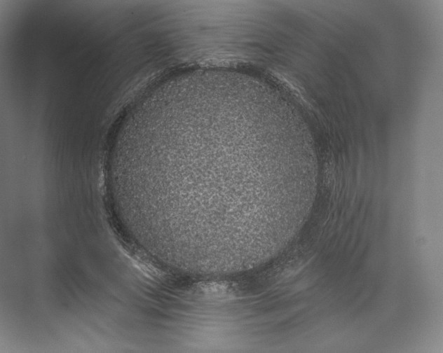X0000073500687200608140908