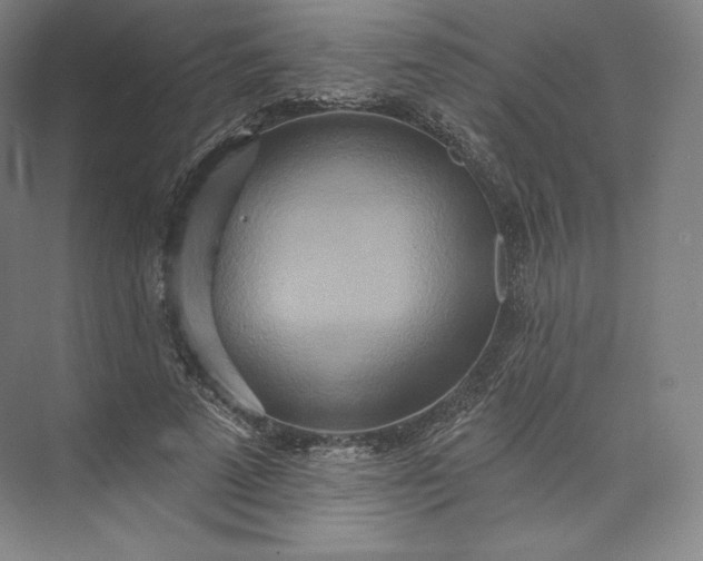 X0000073500689200608140908