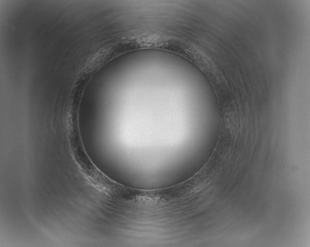 X0000073500690200608140908