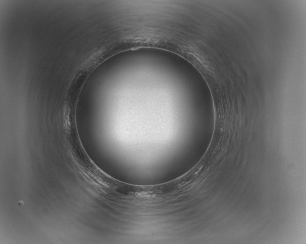X0000073500692200608140908