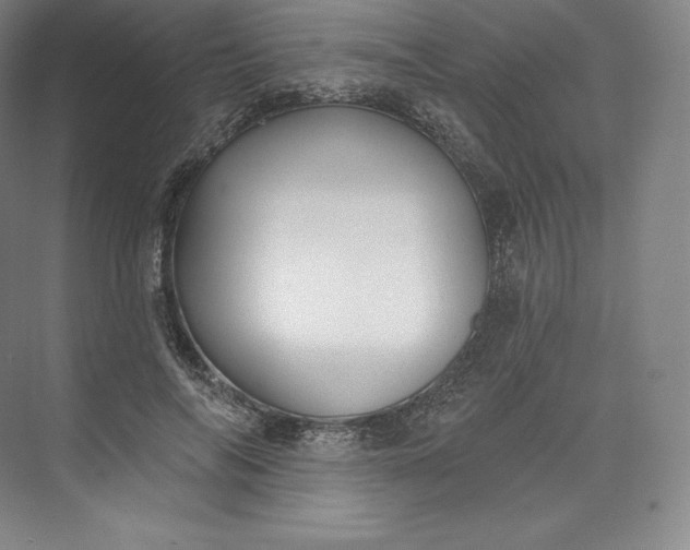 X0000073500694200608140908