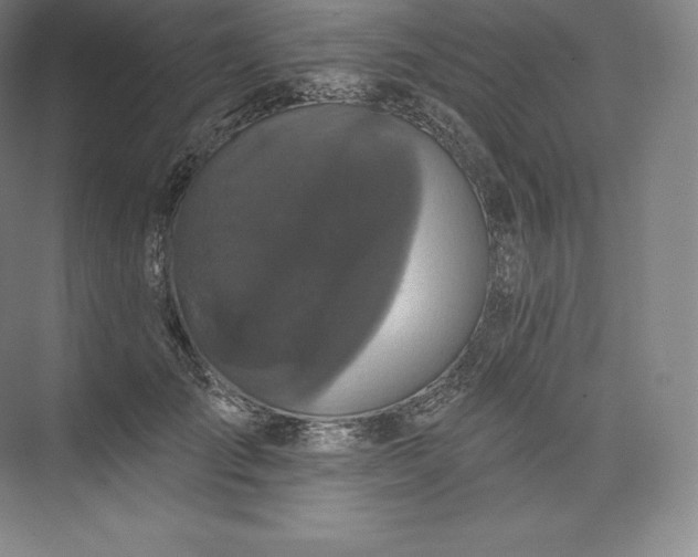 X0000073500701200608140908