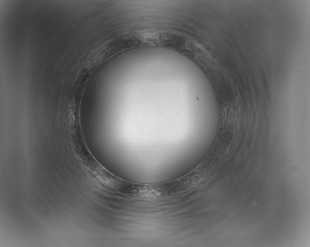 X0000073500702200608140908