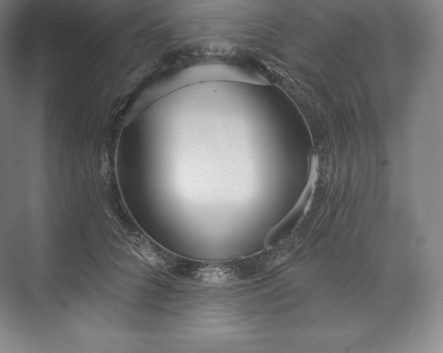 X0000073500704200608140908