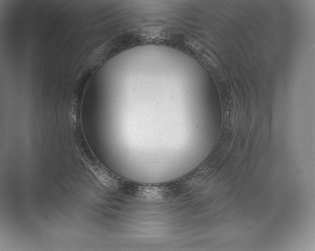 X0000073500710200608140908