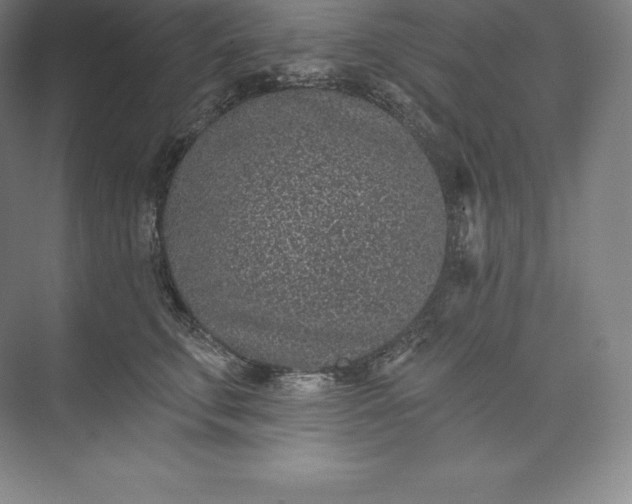X0000073500711200608140908