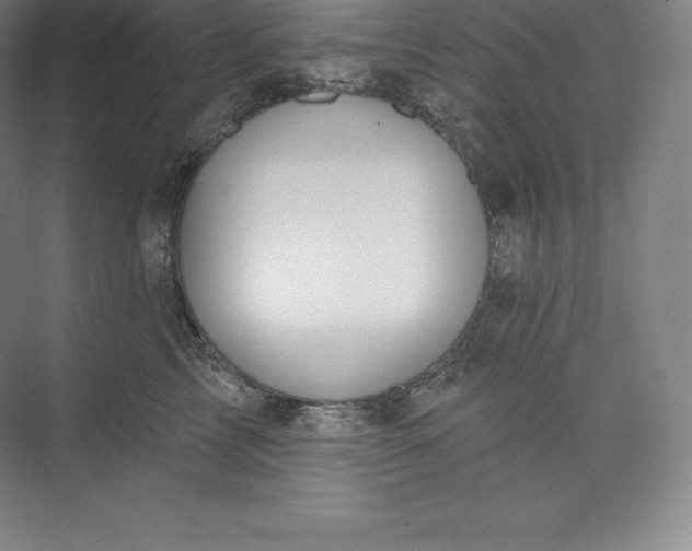 X0000073500713200608140908