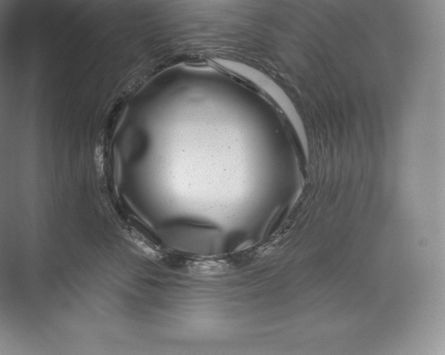 X0000073500716200608140908
