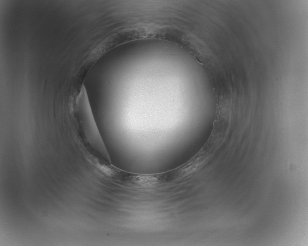 X0000073500719200608140908