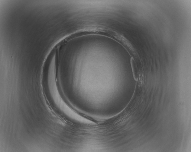 X0000073500724200608140907