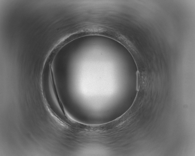 X0000073500726200608140907