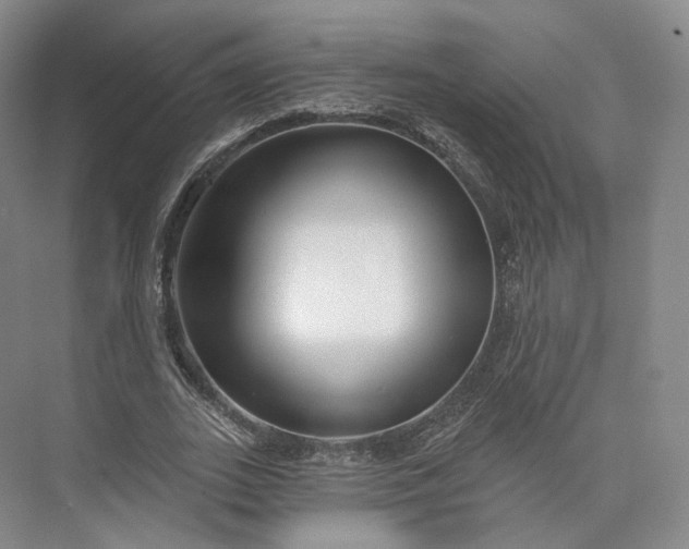 X0000073500727200608140907