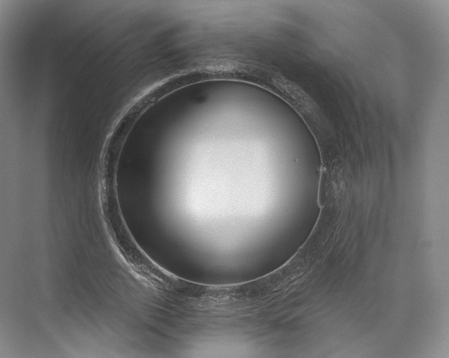 X0000073500728200608140907