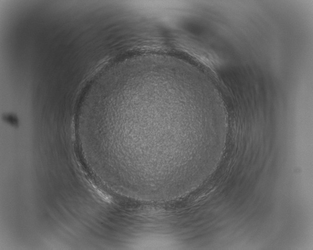 X0000073500729200608140907