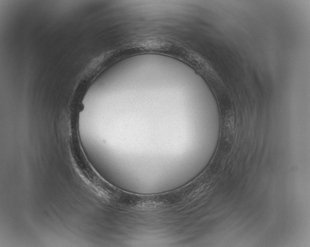 X0000073500734200608140907