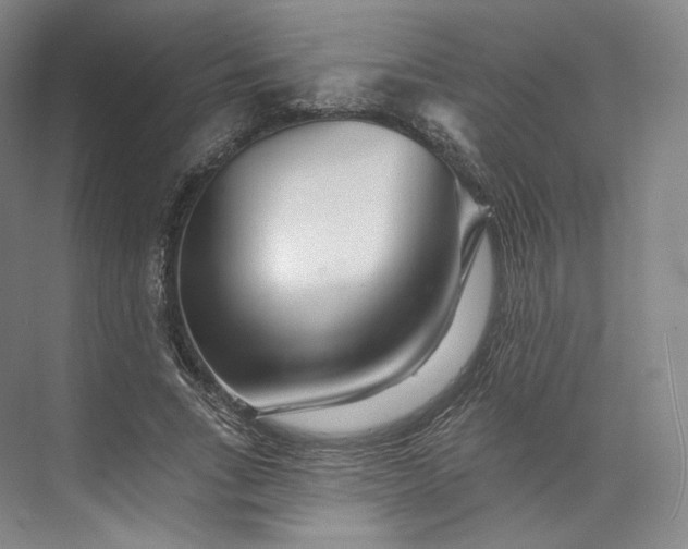 X0000073500735200608140907