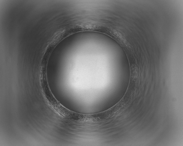 X0000073500738200608140907