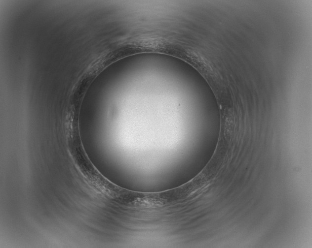 X0000073500739200608140907