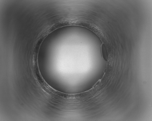 X0000073500740200608140907