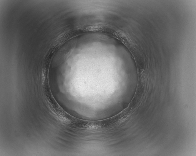 X0000073500741200608140907