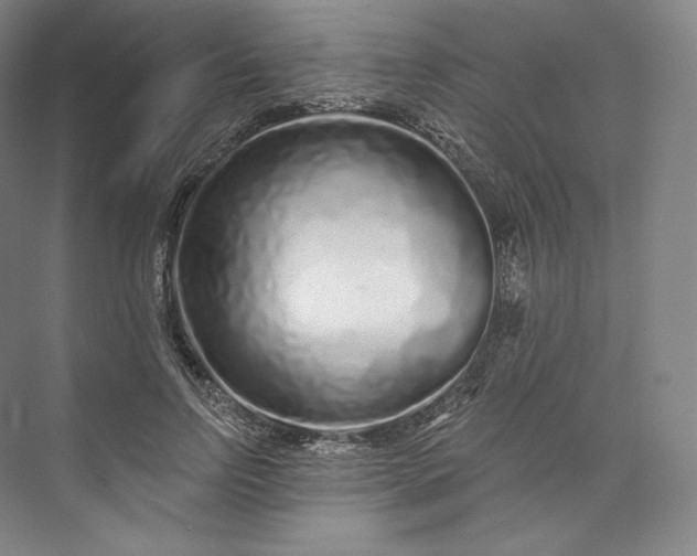 X0000073500742200608140907