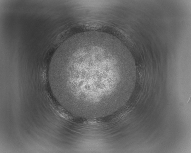 X0000073500745200608140907