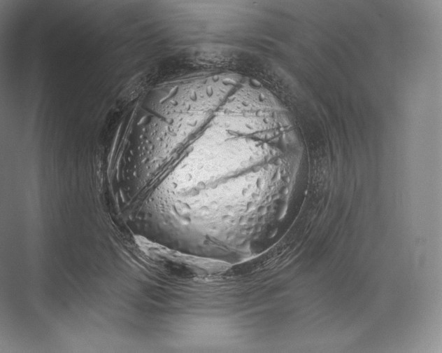 X0000073500749200608140908