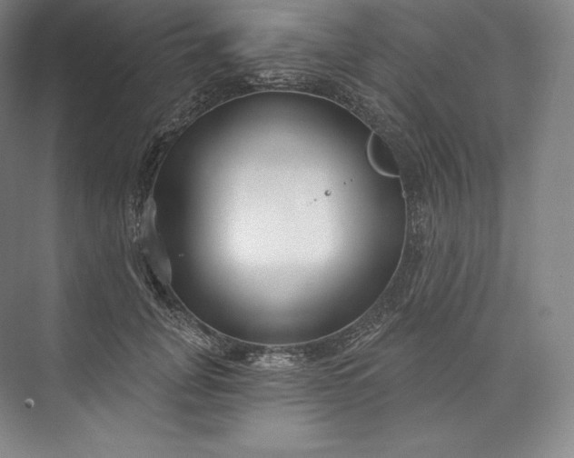 X0000073500751200608140908
