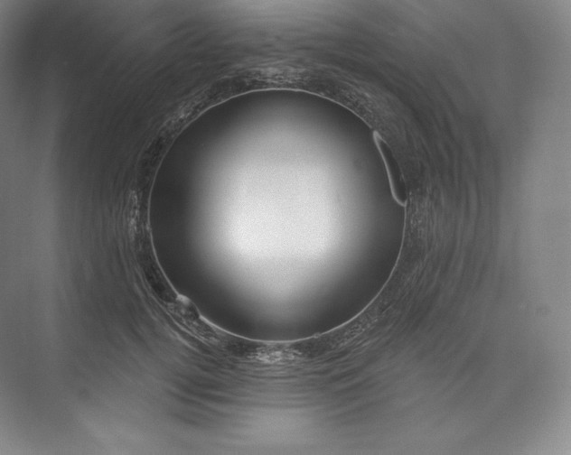 X0000073500752200608140908