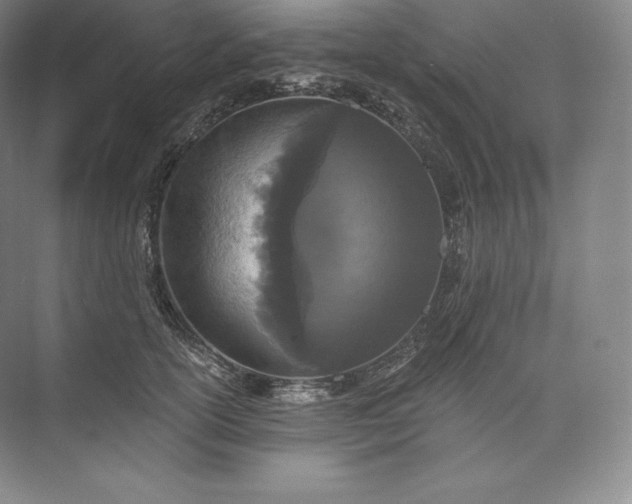 X0000073500754200608140908